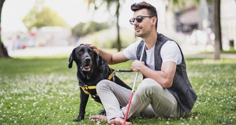 Way To Prevent Vision Loss Naturally