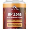 BP Zone-Support Blood Pressure