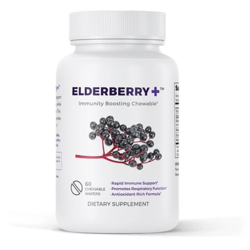 Elderberry Plus TM-Treatment Immune System
