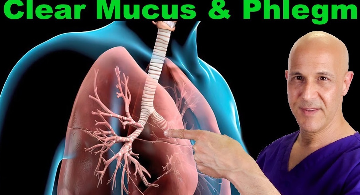 clear-mucus-phlegm-in-respiratory-tract