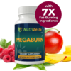 MegaBurn- Weight Loss Recipe