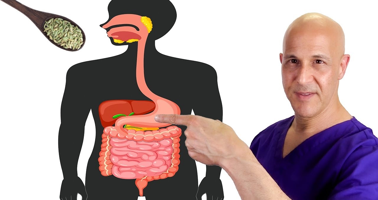 Nature's Tiny SEED That Heals Digestive Problems (Gas, Bloating, Acid